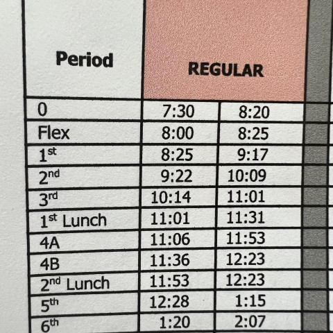 E-Learning Synchronous Schedule